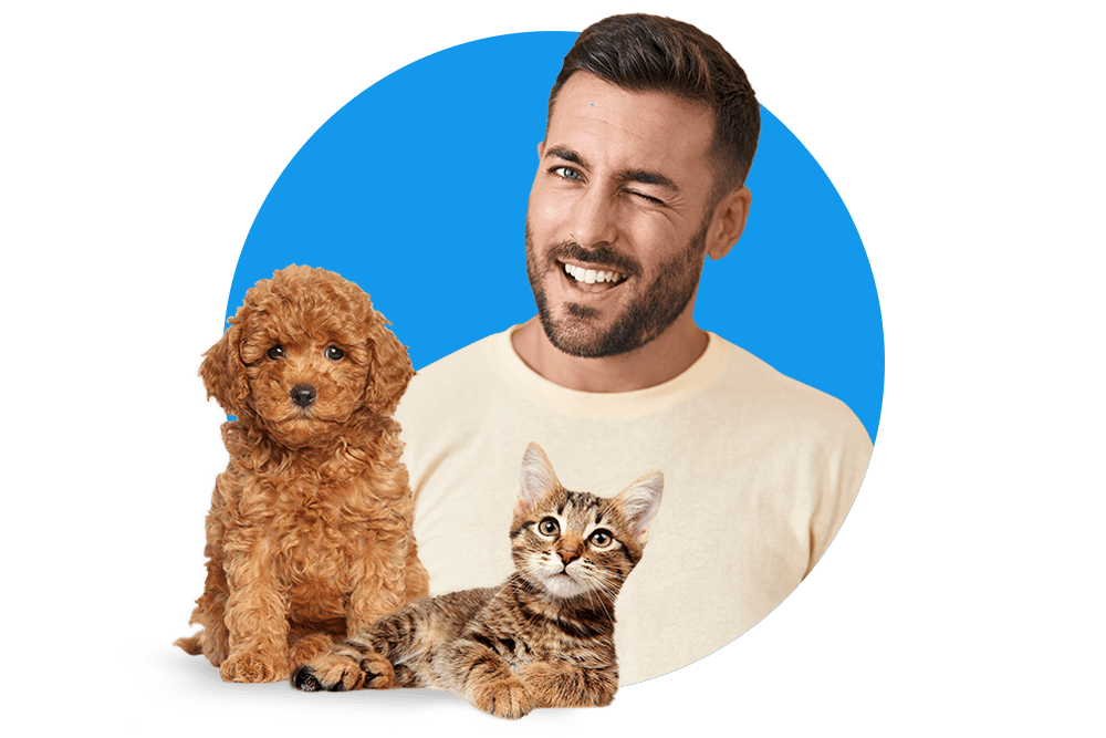 Kundenkonto Tierkrankenversicherung
