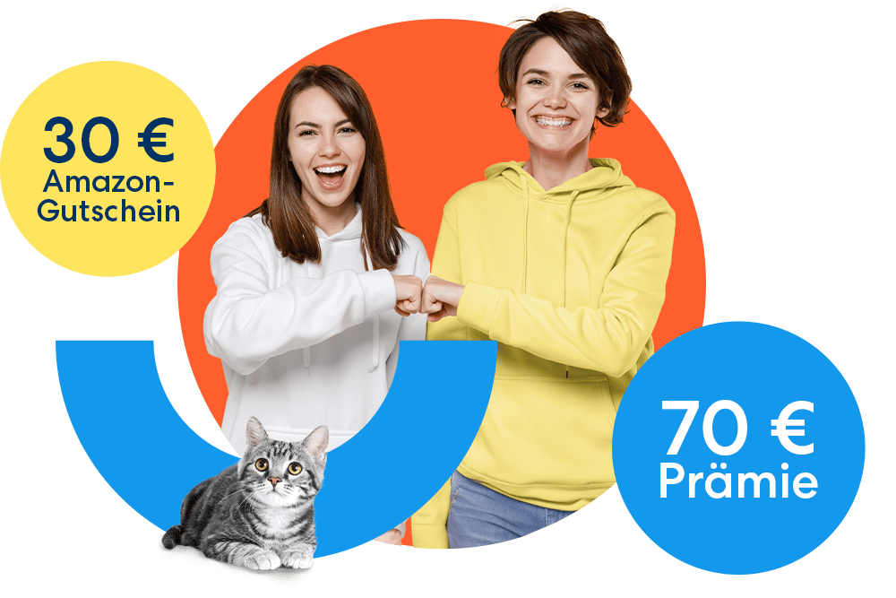 Tell a friend - Empfehlerkampagne Katzenkrankenversicherung
