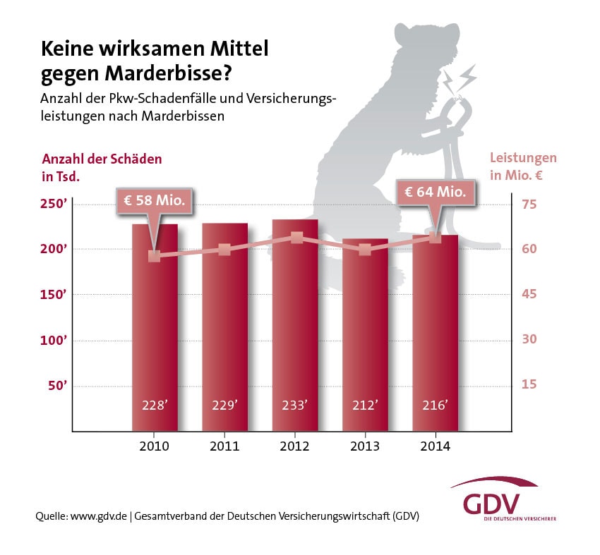 So gefräßig sind Marder: Kosten in der Höhe von 64 Millionen Euro wurden im Jahr 2014 registriert.