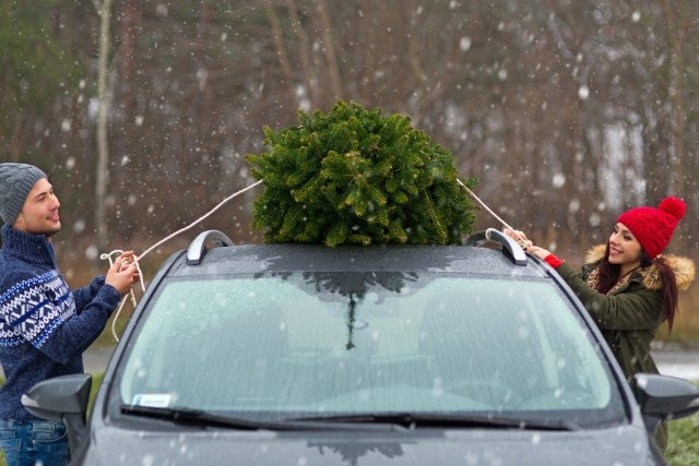 Weihnachtsbaum mit dem Auto transportieren ist nicht ganz einfach