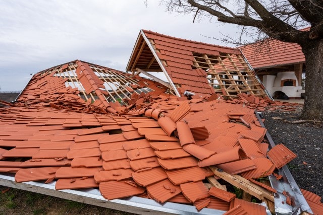Sturmschäden: Versicherungen haften für kaputte Dächer und Autos, die durch umgestürzte Bäume beschädigt wurden.