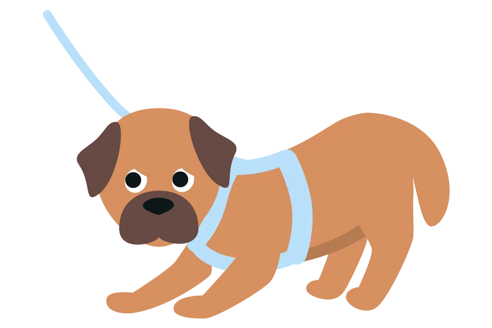 Hund hat Angst vor dem Tierarzt