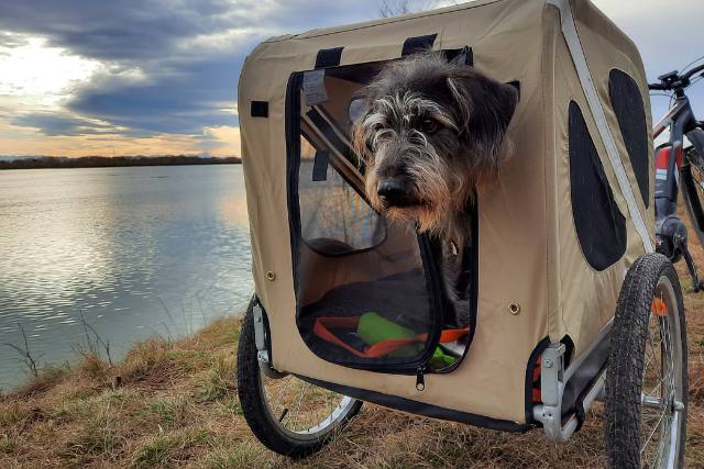 Fahrradanhänger für Hunde