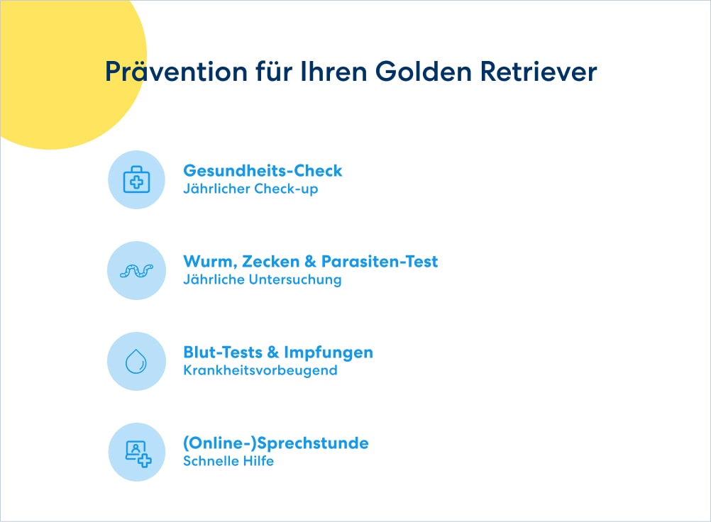 Golden Retriever Praevention