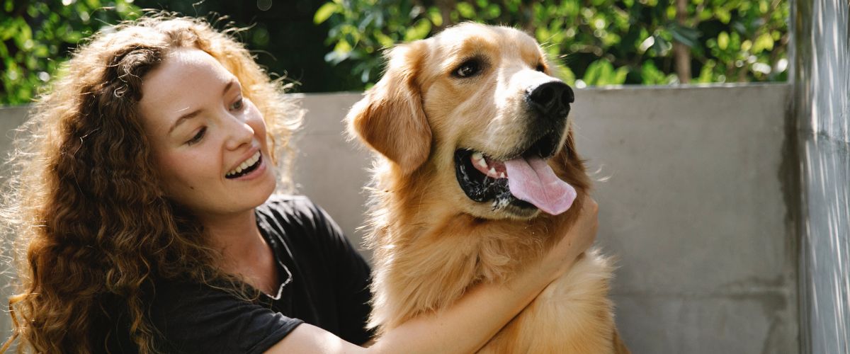 Golden Retriever mit junger Frau