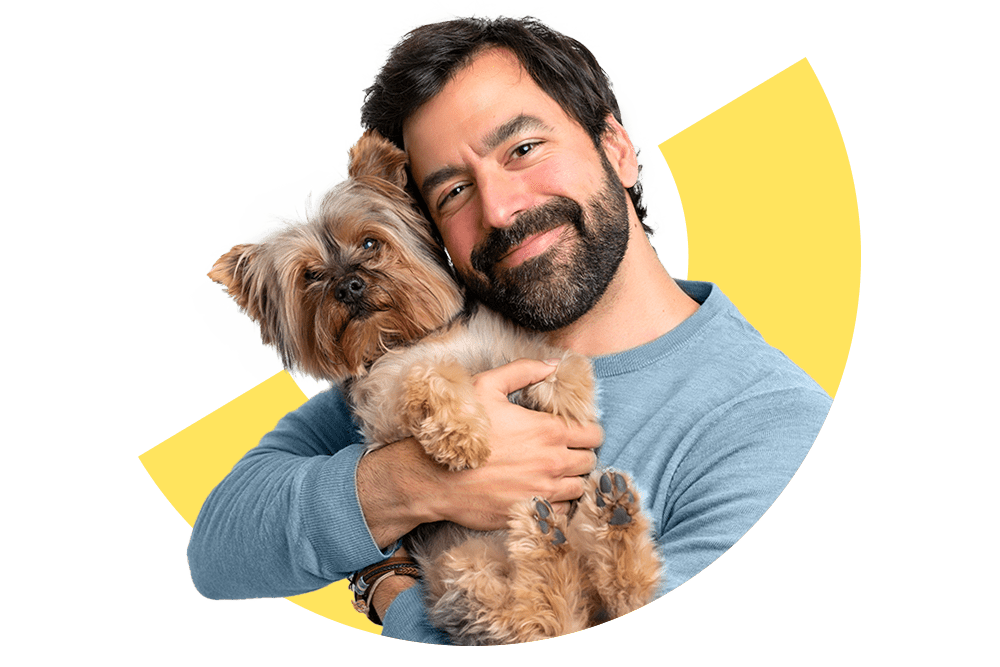 Hundeversicherungen: Nützliche Tipps und Tricks