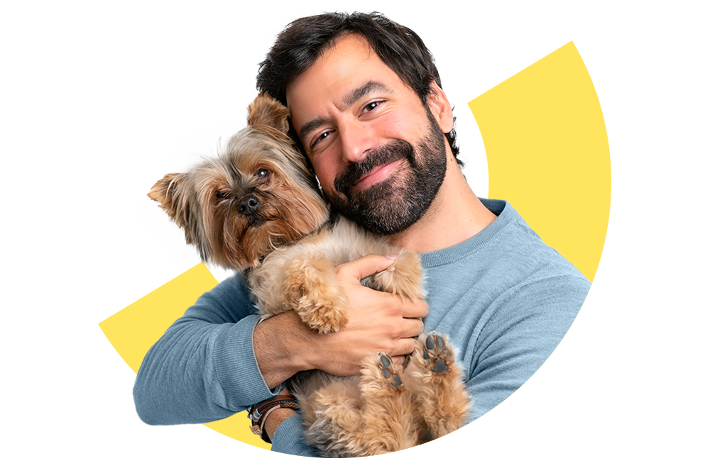 Hundeversicherungen: Nützliche Tipps und Tricks