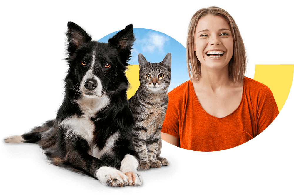 Kundenkonto Tierkrankenversicherung DA Direkt