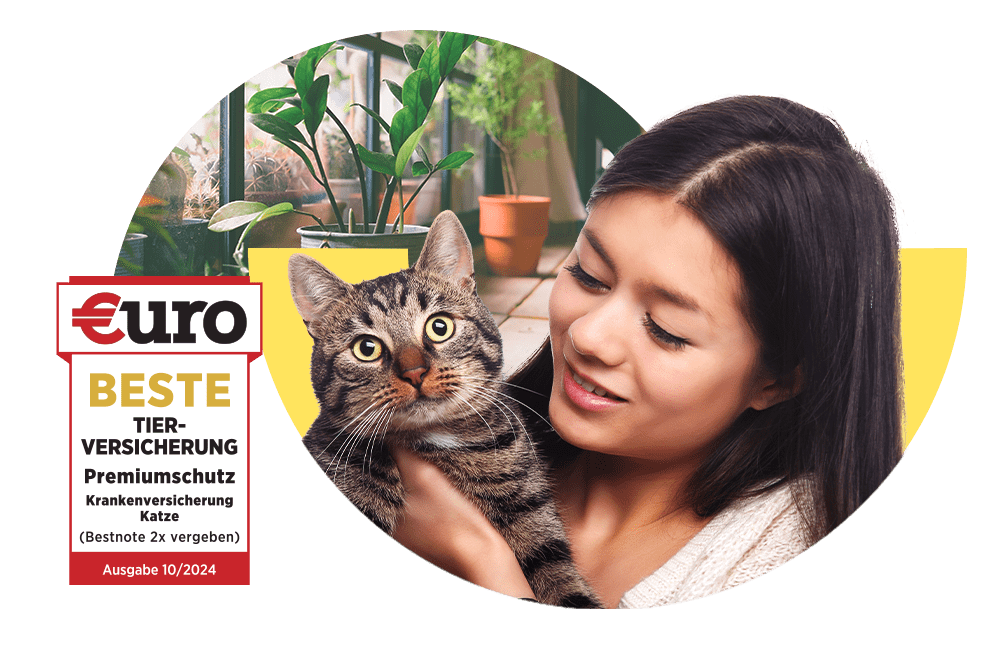 €uro-Magazin Siegel: Beste Tierversicherung für den Premiumschutz der DA Direkt Katzenkrankenversicherung neben einer lächelnden Frau mit Katze auf dem Arm
