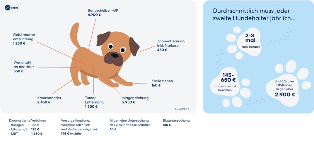 Tierarztkosten - ohne Versicherung für Hunde ganz schön kostspielig