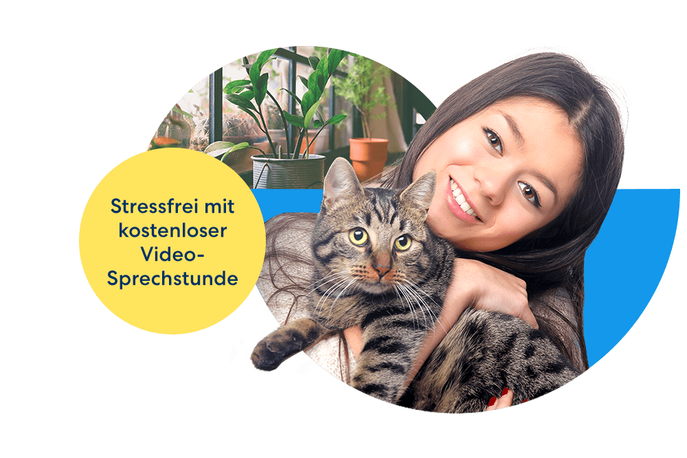 DA Direkt Katzenkrankenversicherung