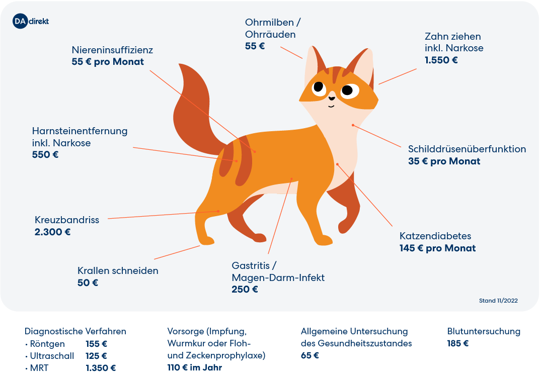 Tierarztkosten - ohne Versicherung für Katzen ganz schön kostspielig