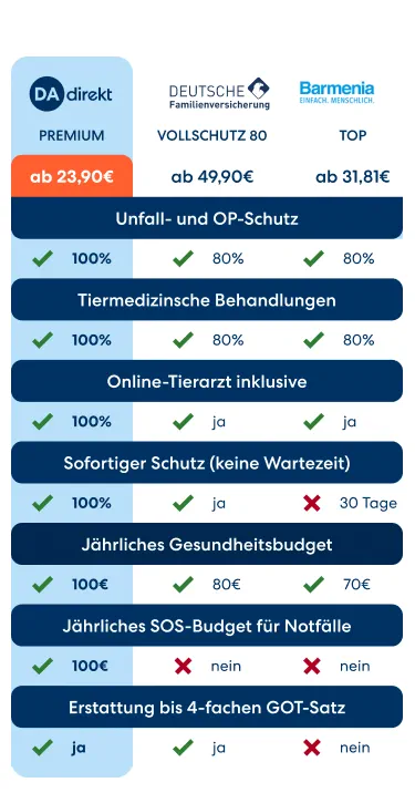 Katzenversicherungen im Vergleich.