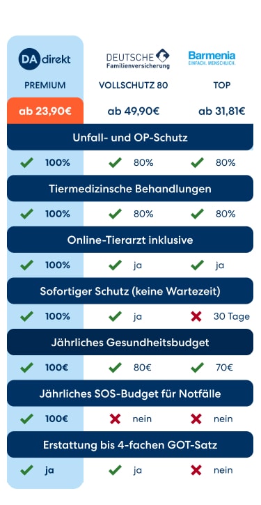 Katzenversicherungen im Vergleich.