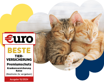 €uro-Magazin Siegel: Beste Tierversicherung für den Premiumschutz der DA Direkt Katzenkrankenversicherung neben zwei Katzen