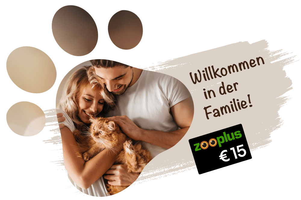 Willkommen in der Familie! Mit der DA Direkt Katzenversicherung 15 € ZooPlus Gutschein erhalten.