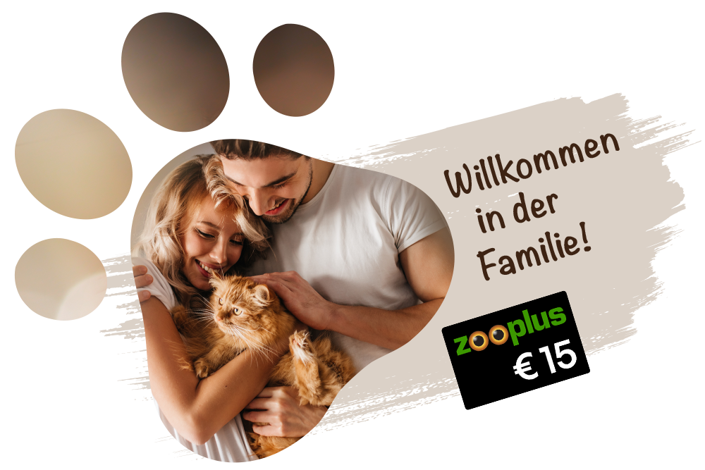 Willkommen in der Familie! Mit der DA Direkt Katzenversicherung 15 € ZooPlus Gutschein erhalten.