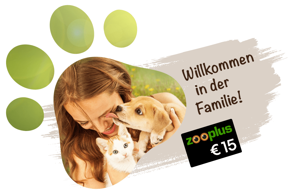 Willkommen in der Familie! Mit der DA Direkt Tierkrankenversicherung 15 € ZooPlus Gutschein erhalten.