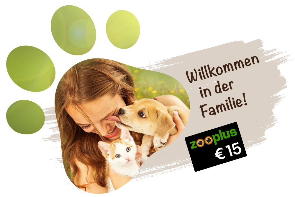 Willkommen in der Familie! Mit der DA Direkt Tierkrankenversicherung 15 € ZooPlus Gutschein erhalten.