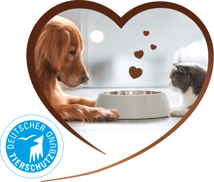 In einem Herzrahmen liegen sich Hund und Katze vor einem Napf in den kleine Herzen fallen, die den Erfolg des Sponsorings zeigen.