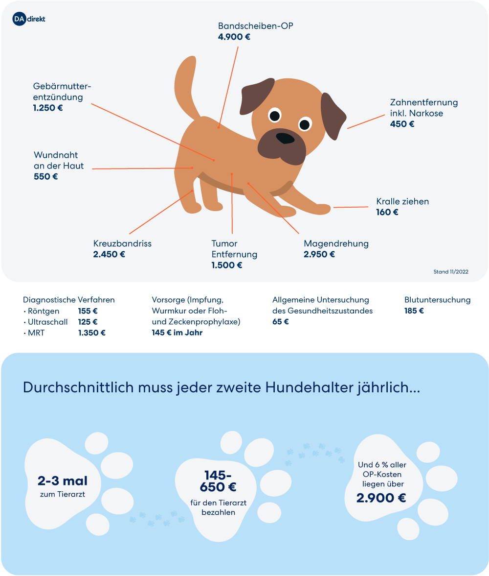 Tierarztkosten - ohne Versicherung für Hunde ganz schön kostspielig