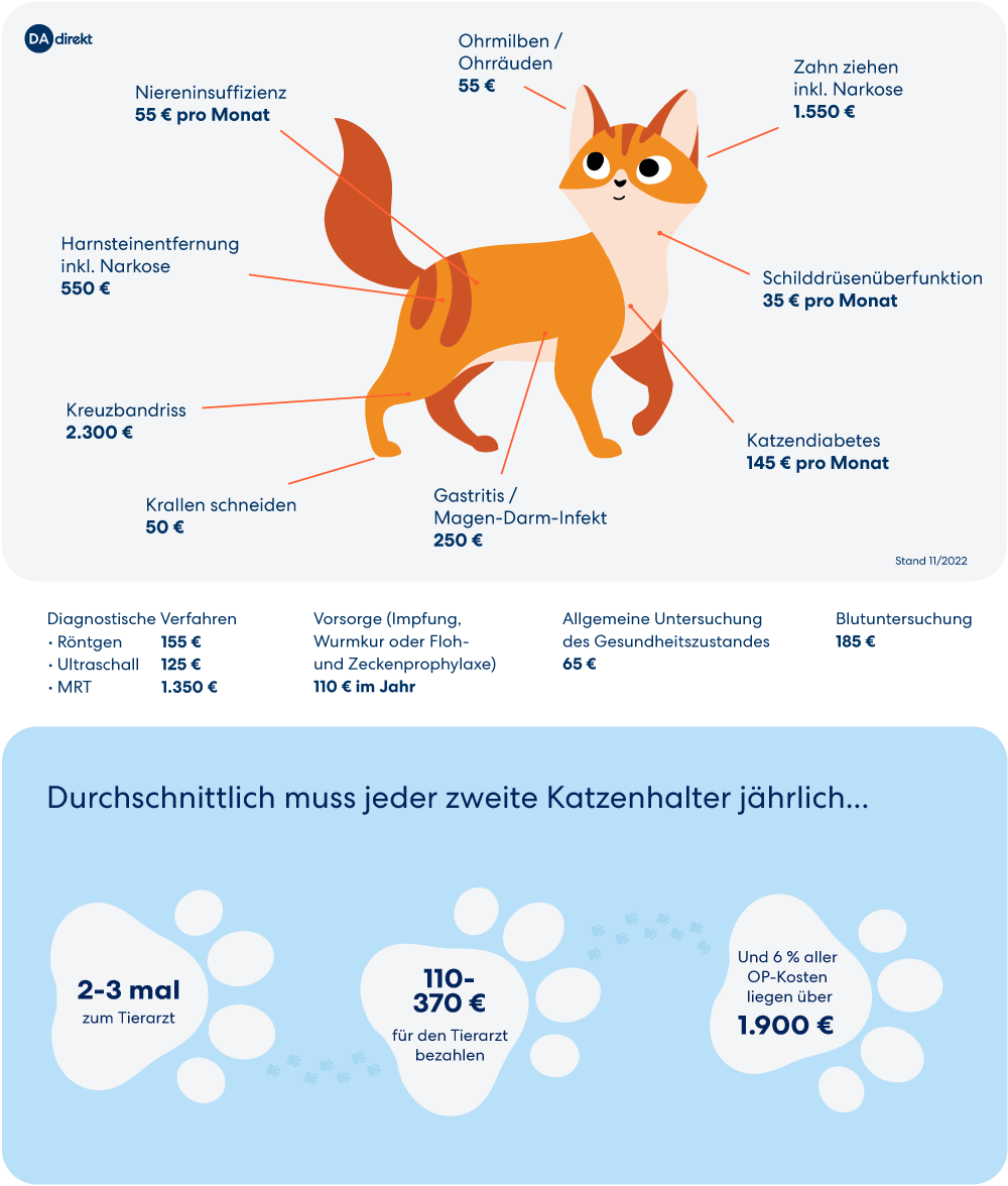 Tierarztkosten - ohne Versicherung für Katzen ganz schön kostspielig