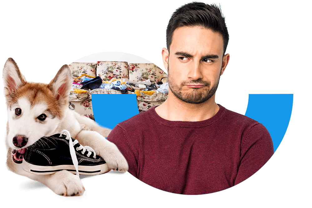 Verärgert schauender junger Mann neben einem Hundewelpen, der einen Schuh zerkaut