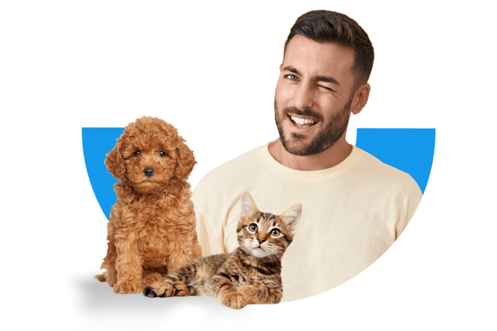 Kundenkonto Tierkrankenversicherung