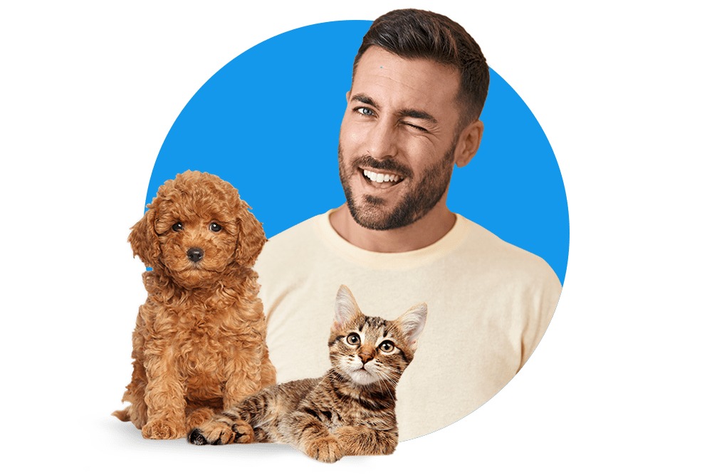 Mann mit Hund und Katze