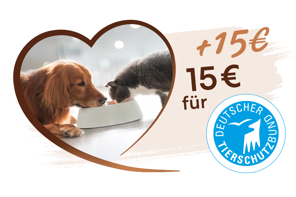 Unterstützen Sie zum Welttierschutztag den Deutschen Tierschutzbund e.V und helfen Tieren in Not!