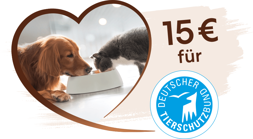Unterstützen Sie zum Welttierschutztag den Deutschen Tierschutzbund e.V und helfen Tieren in Not!