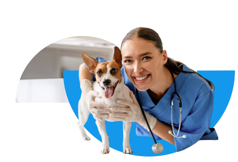 Tiermedizinische Fachangestellte