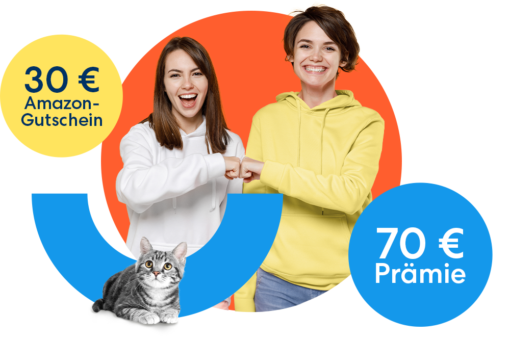 Tell a friend - Empfehlerkampagne Katzenkrankenversicherung
