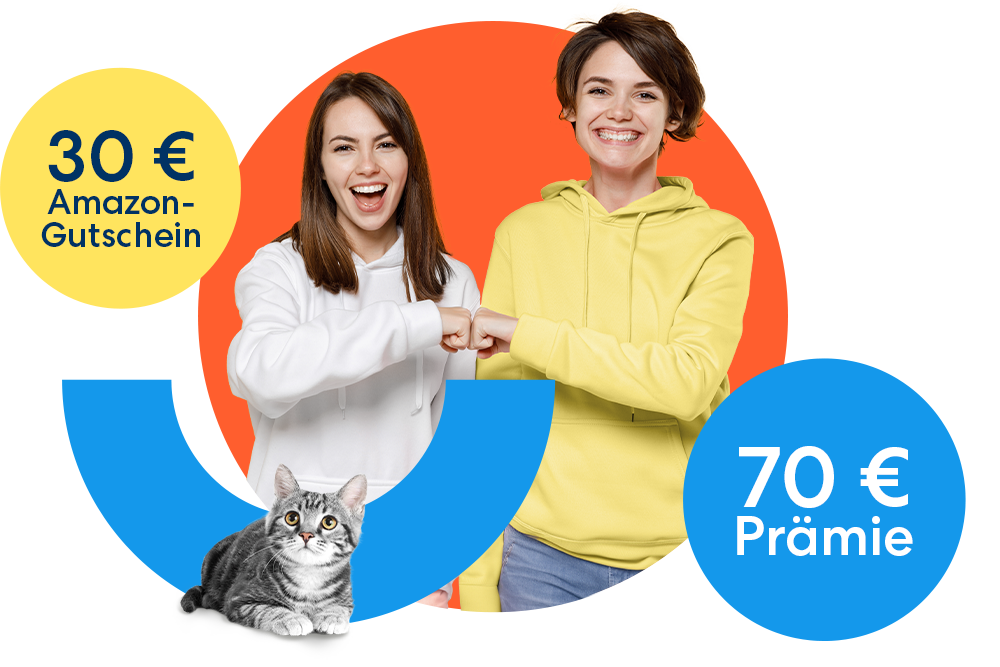 Tell a friend - Empfehlerkampagne Katzenkrankenversicherung