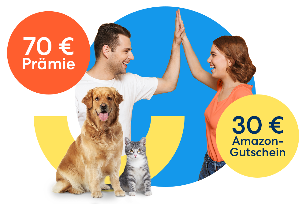 Tell a Friend Aktion für Tierkrankenversicherungen der DA Direkt: 70€ Prämie und 30 € Amazon-Gutschein sichern.