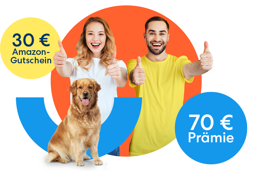 DA Direkt empfehlen - 30 Euro Gutschein und 70 Euro Prämie