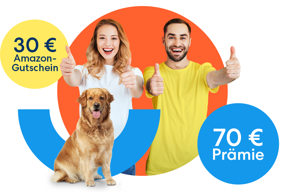DA Direkt empfehlen - 30 Euro Gutschein und 70 Euro Prämie