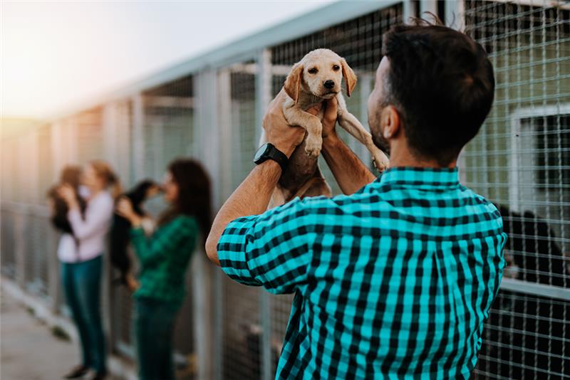Mann mit Hund in einem Tierheim