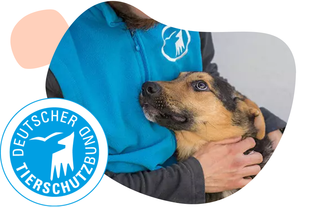 Eine Person mit einer Jacke vom Deutschen Tierschutzbund hat einen Hund im Arm. Im linken Bereich des Bilder ist das Logo des deutschen Tierschutzbundes.