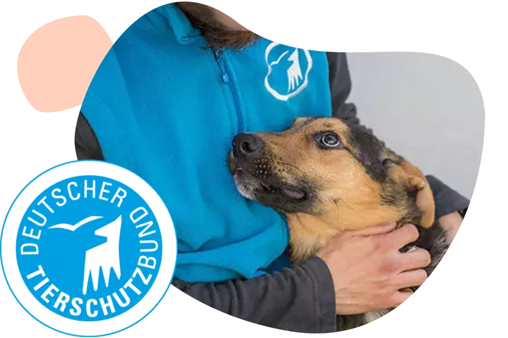 Eine Person mit einer Jacke vom Deutschen Tierschutzbund hat einen Hund im Arm. Im linken Bereich des Bilder ist das Logo des deutschen Tierschutzbundes.