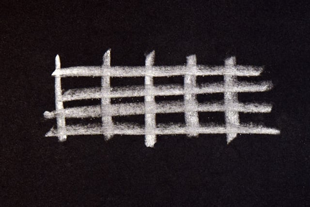 Gaunerkennzeichen Beispiele 
