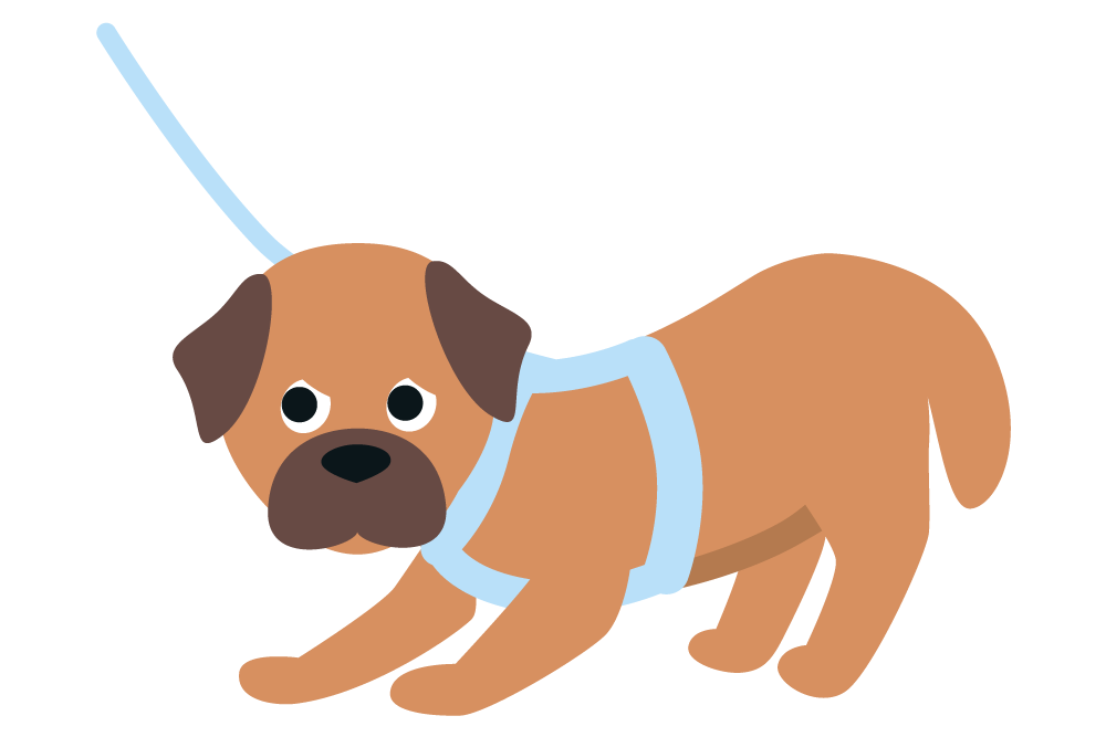 Hund hat Angst vor dem Tierarzt