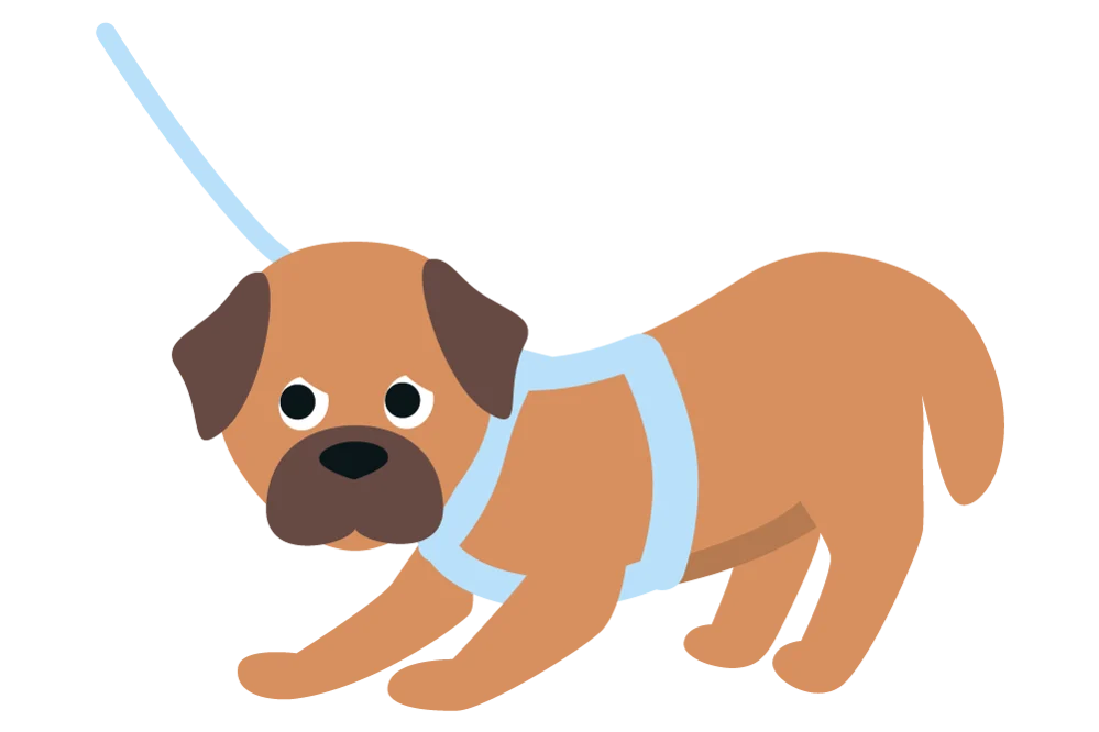 Hund hat Angst vor dem Tierarzt