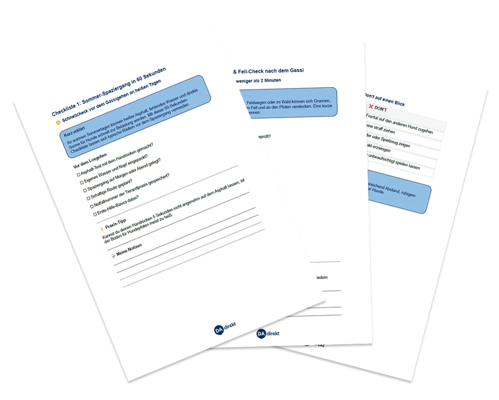 Vier hilfreichen Checklisten mit Kurzerklärungen, praktischen Tipps und Platz für Ihre Notizen. Ausdrucken, mitnehmen, abhaken