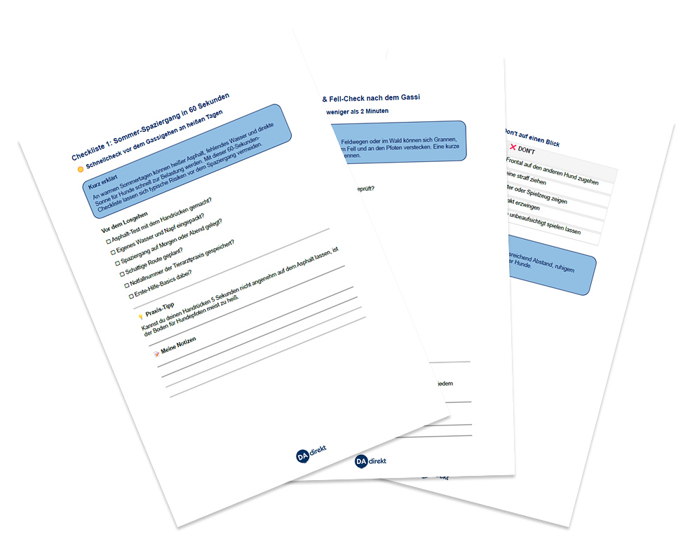 Vier hilfreichen Checklisten mit Kurzerklärungen, praktischen Tipps und Platz für Ihre Notizen. Ausdrucken, mitnehmen, abhaken