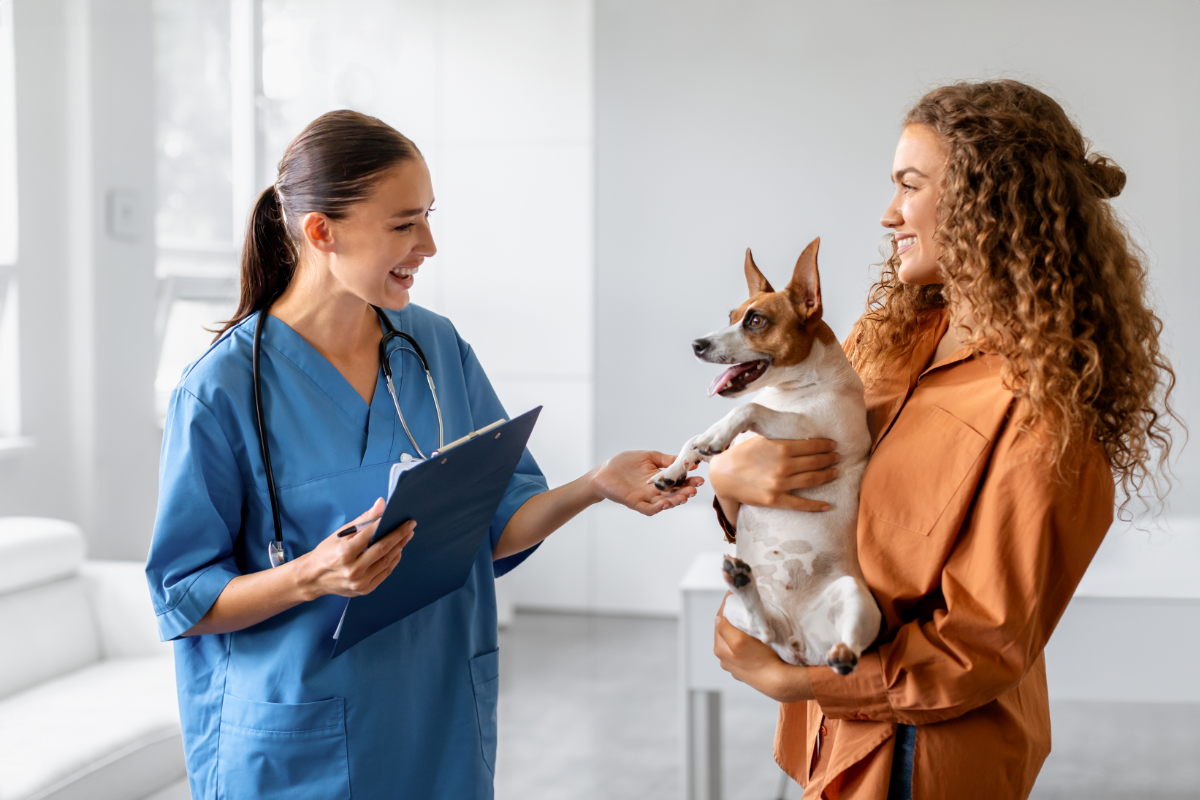 Auf die Hundegesundheit achten: mit regelmäßigen Check-ups beim Tierarzt