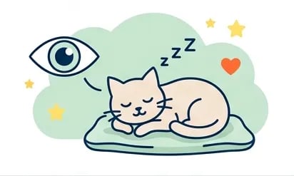 Schaubild einer schlafenden Katze, die beobachtet werden muss nach einer OP