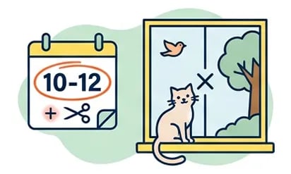 Schaubild einer Katze, die am geschlossenen Fenster sitzt und auf einen Kalender schaut