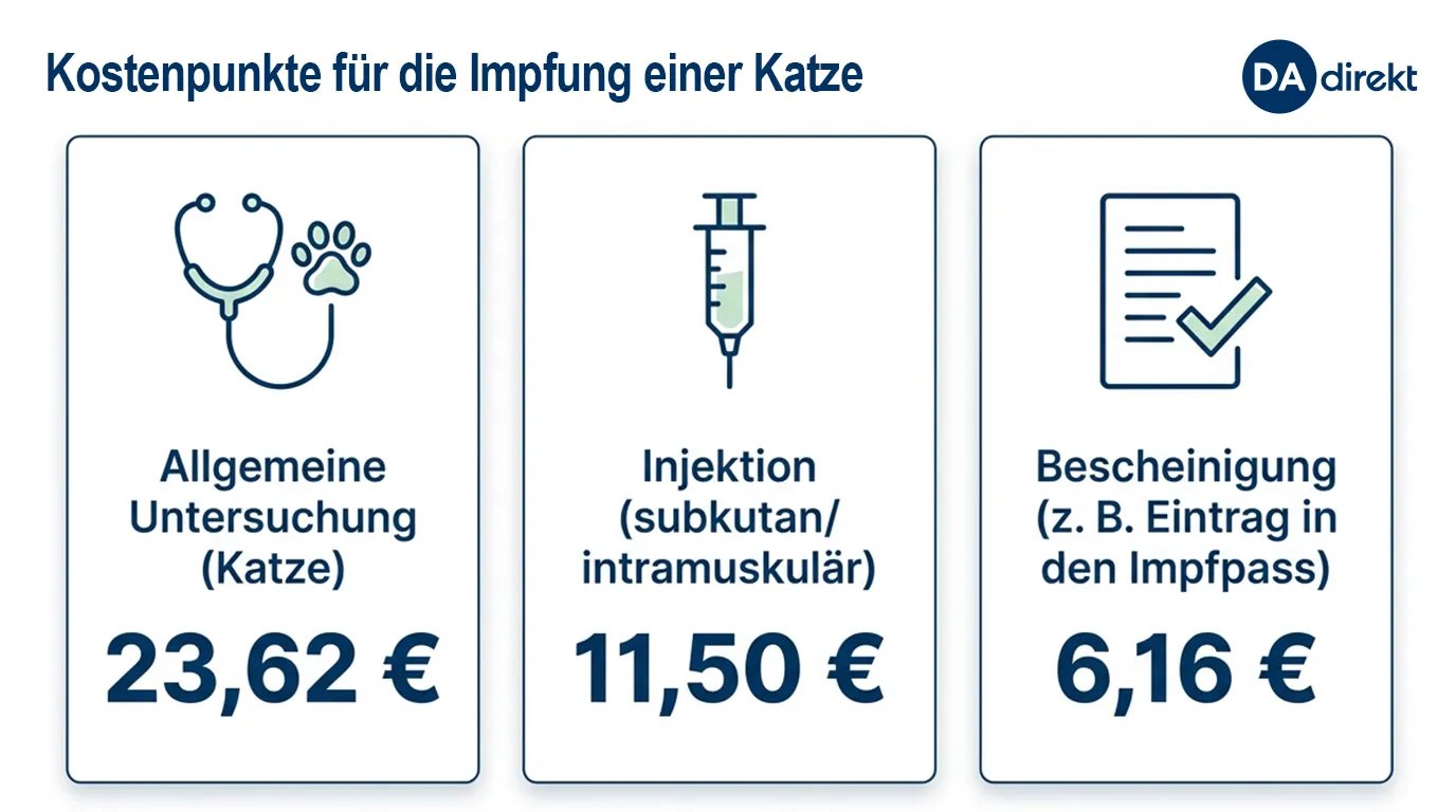 Grafik mit Beispielkosten für Tierarztbehandlungen für Katzen. Links Allgemeine Untersuchung. Mitte Injektion. Rechts Bescheinigungen.