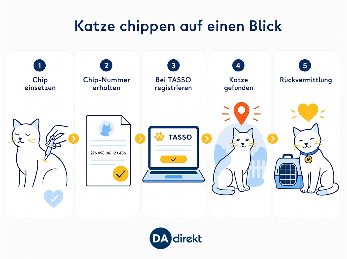 Schaubild Vorteil des Katzen-Chips bei Verlust der Katze